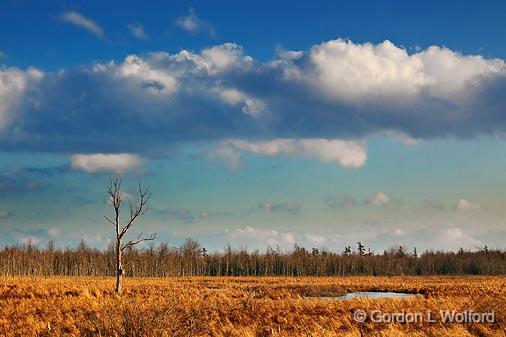 Jock River_11290.jpg - Photographed near Carleton Place, Ontario, Canada.